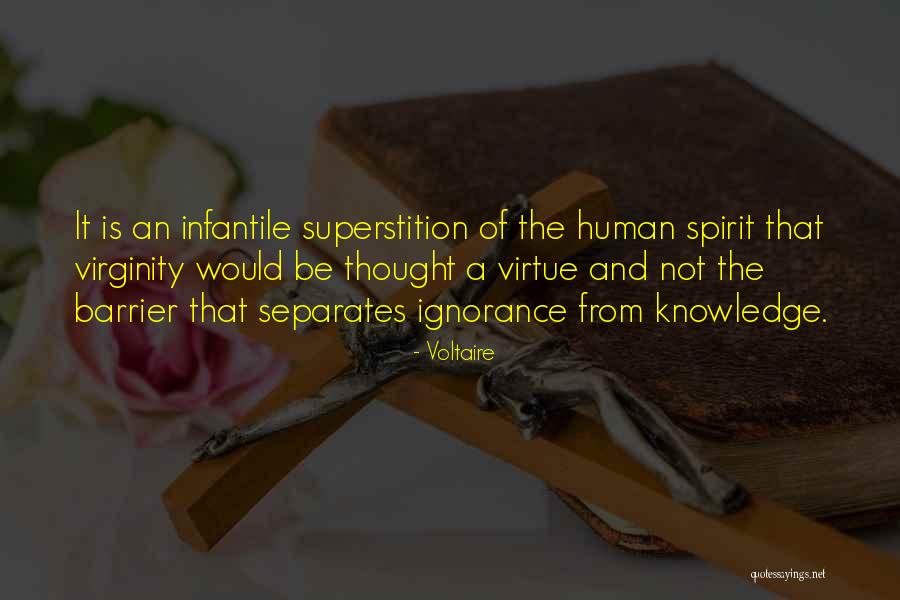 Souter Iron Quotes By Voltaire Souter Iron Quotes By Voltaire