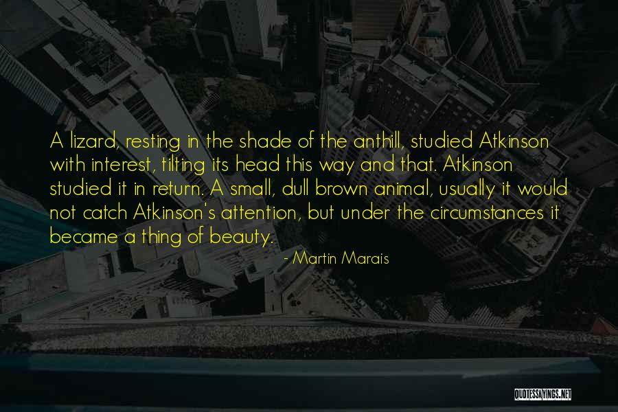 South Africa's Beauty Quotes By Martin Marais