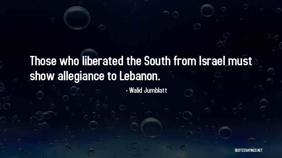 South Lebanon Quotes By Walid Jumblatt