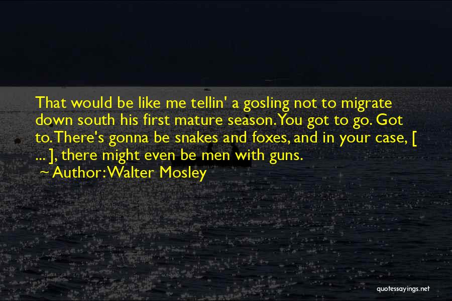 South Of Nowhere Season 3 Quotes By Walter Mosley
