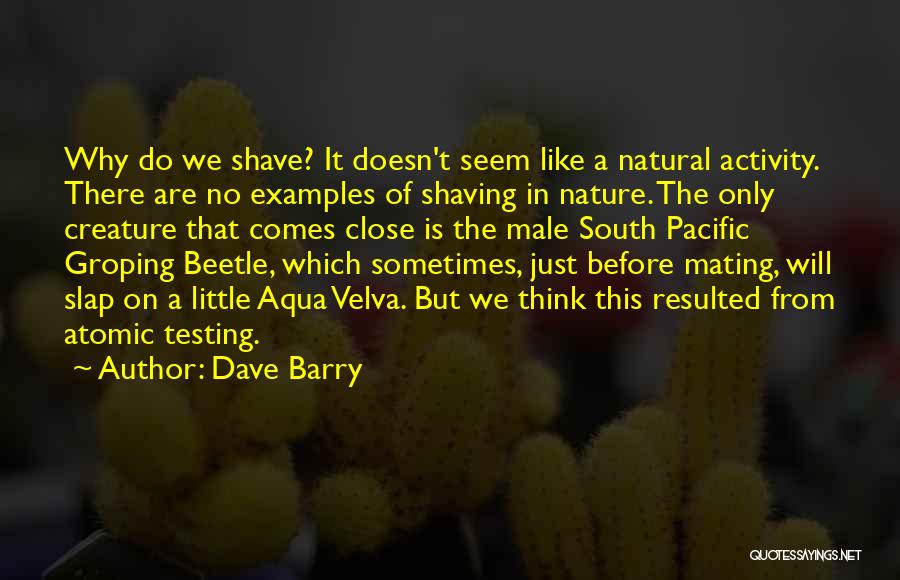 South Pacific Quotes By Dave Barry