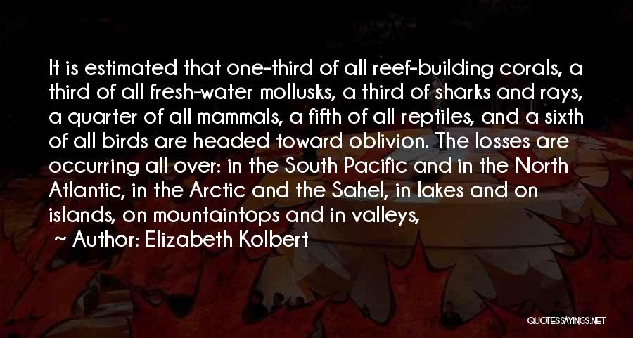 South Pacific Quotes By Elizabeth Kolbert