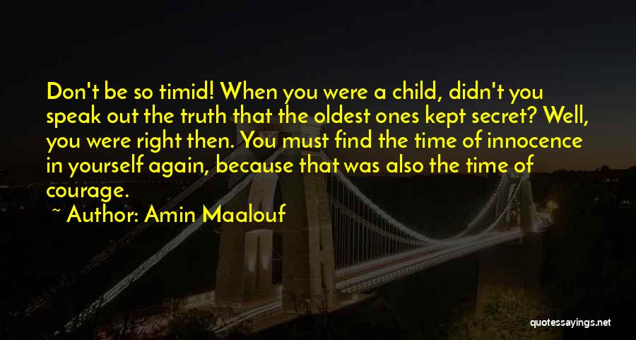 South Park Crocodile Hunter Quotes By Amin Maalouf