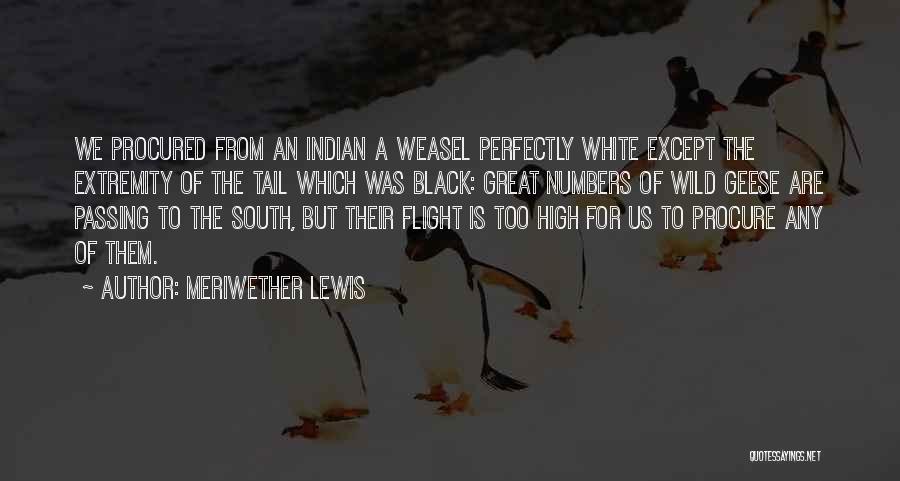 South Quotes By Meriwether Lewis South Quotes By Meriwether Lewis