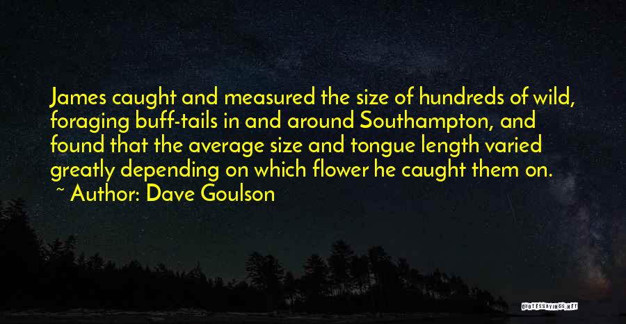 Southampton Quotes By Dave Goulson