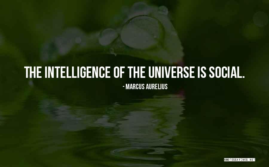 Southampton Schools Quotes By Marcus Aurelius Southampton Schools Quotes By Marcus Aurelius