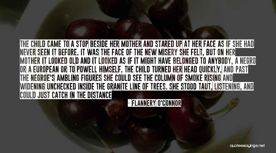 Southern Fiction Quotes By Flannery O'Connor Southern Fiction Quotes By Flannery O'Connor