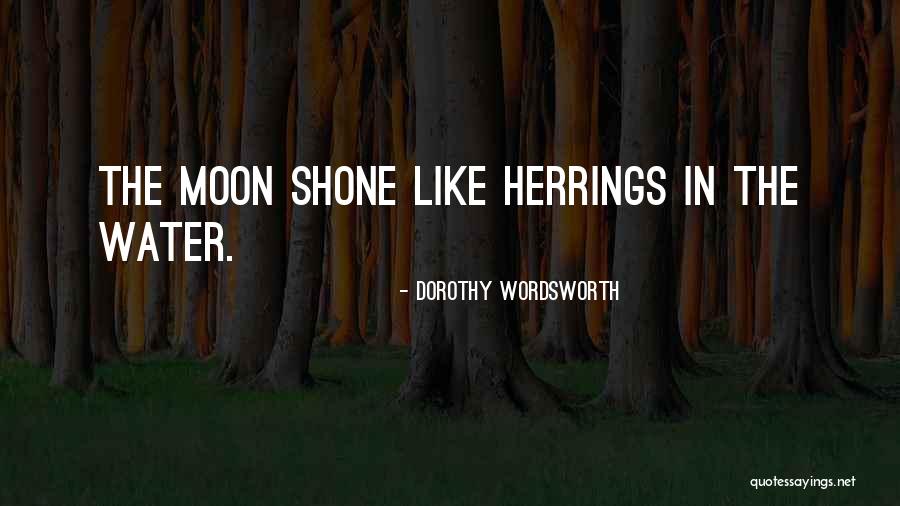 Southern Foodways Quotes By Dorothy Wordsworth Southern Foodways Quotes By Dorothy Wordsworth