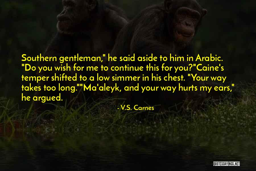 Southern Gentleman Quotes By V.S. Carnes