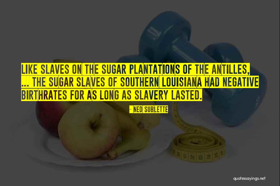 Southern Plantations Quotes By Ned Sublette Southern Plantations Quotes By Ned Sublette