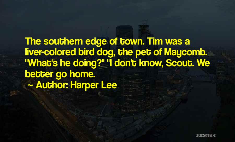 Southern Quotes By Harper Lee