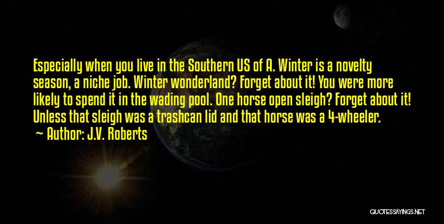 Southern Quotes By J.V. Roberts