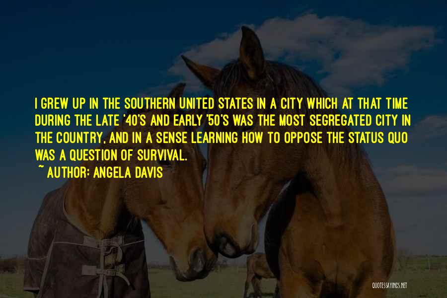 Southern States Quotes By Angela Davis