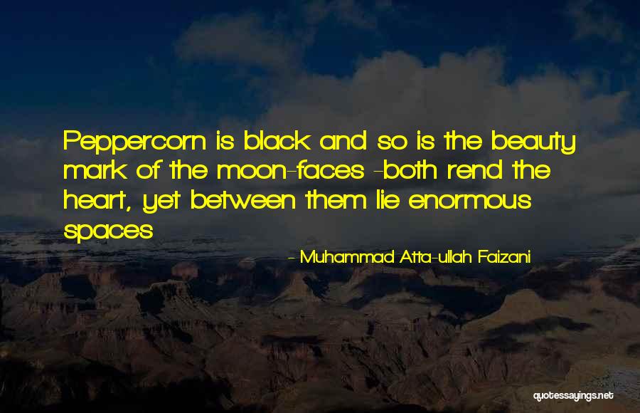 Southundermoon Quotes By Muhammad Atta-ullah Faizani