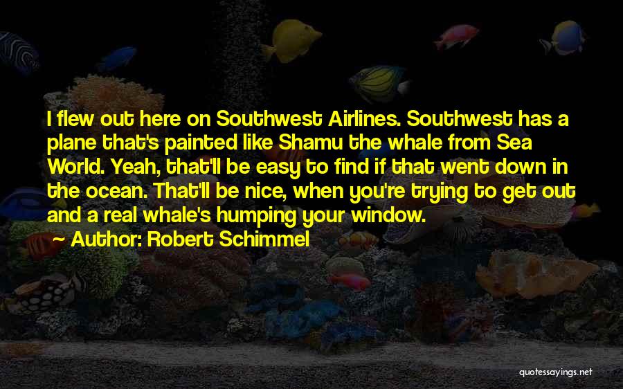 Southwest Airlines Quotes By Robert Schimmel