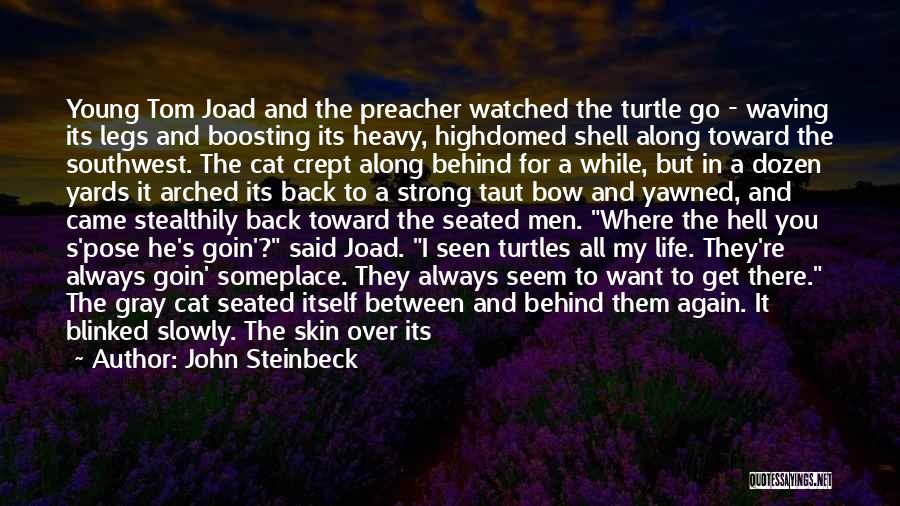 Southwest Quotes By John Steinbeck