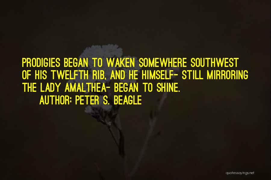 Southwest Quotes By Peter S. Beagle