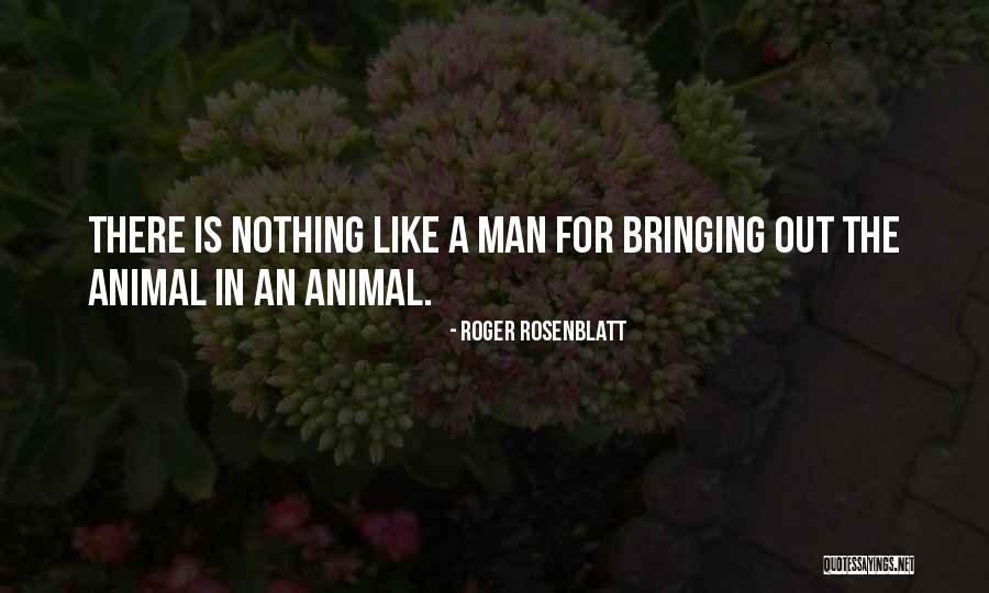 Souvenez Vous De La Quotes By Roger Rosenblatt Souvenez Vous De La Quotes By Roger Rosenblatt