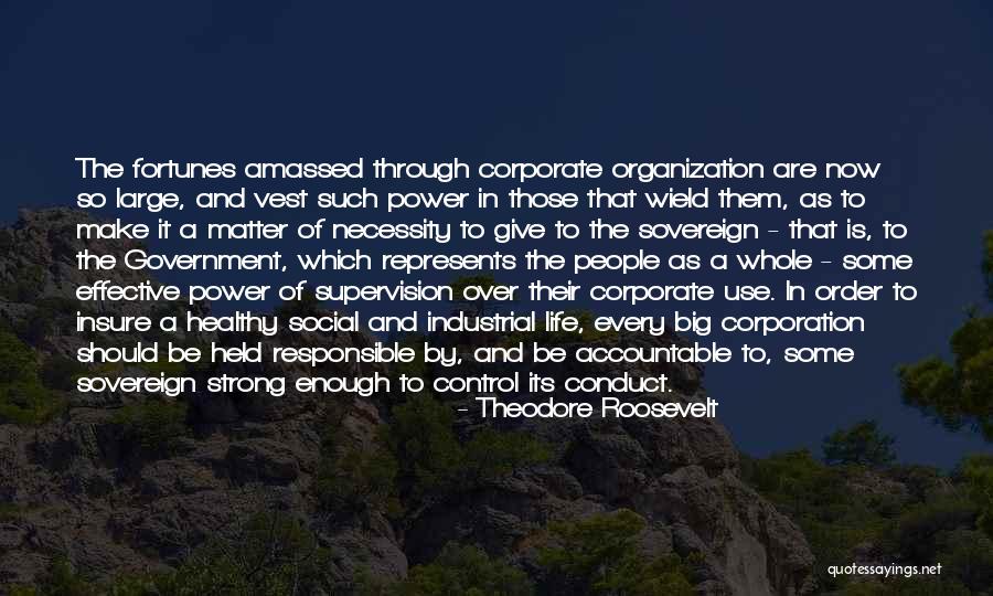 Sovereign Power Quotes By Theodore Roosevelt