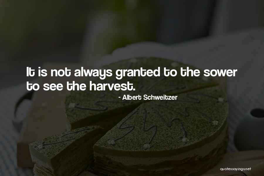 Sovereign Silver Quotes By Albert Schweitzer Sovereign Silver Quotes By Albert Schweitzer