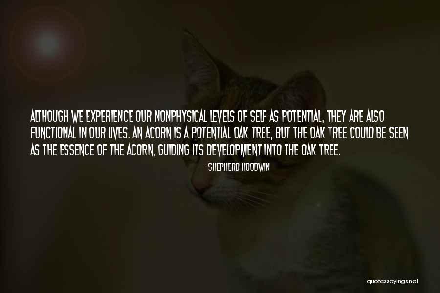 Sovereigntist Quotes By Shepherd Hoodwin Sovereigntist Quotes By Shepherd Hoodwin