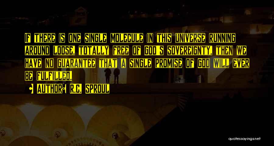 Sovereignty Of God Quotes By R.C. Sproul