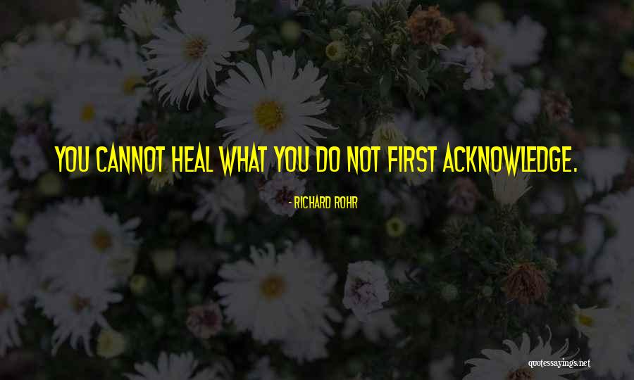 Sovine Oci Quotes By Richard Rohr