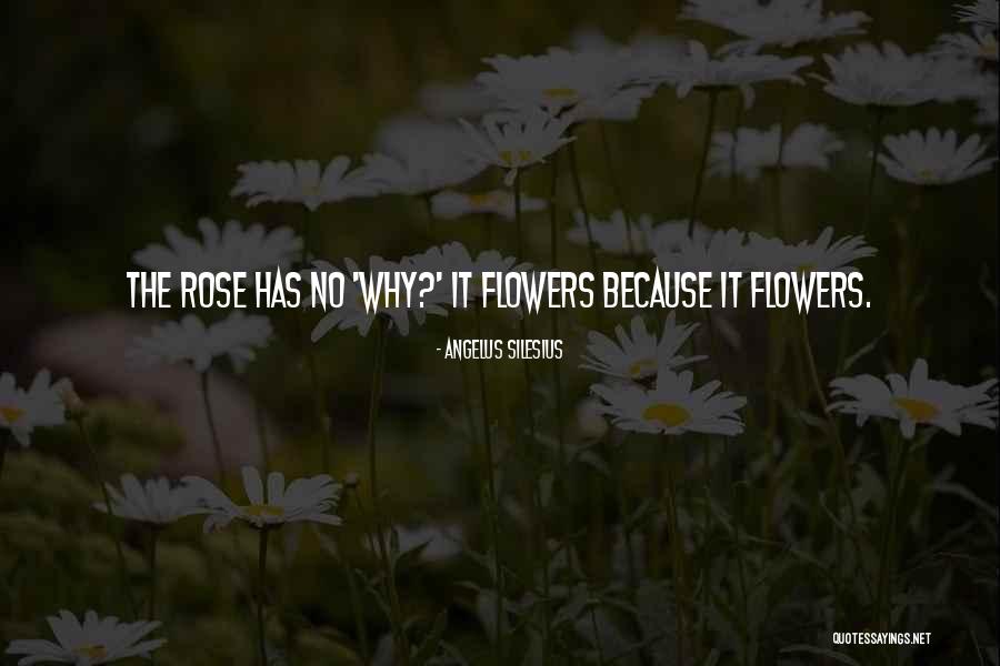 Sovran Bank Quotes By Angelus Silesius Sovran Bank Quotes By Angelus Silesius