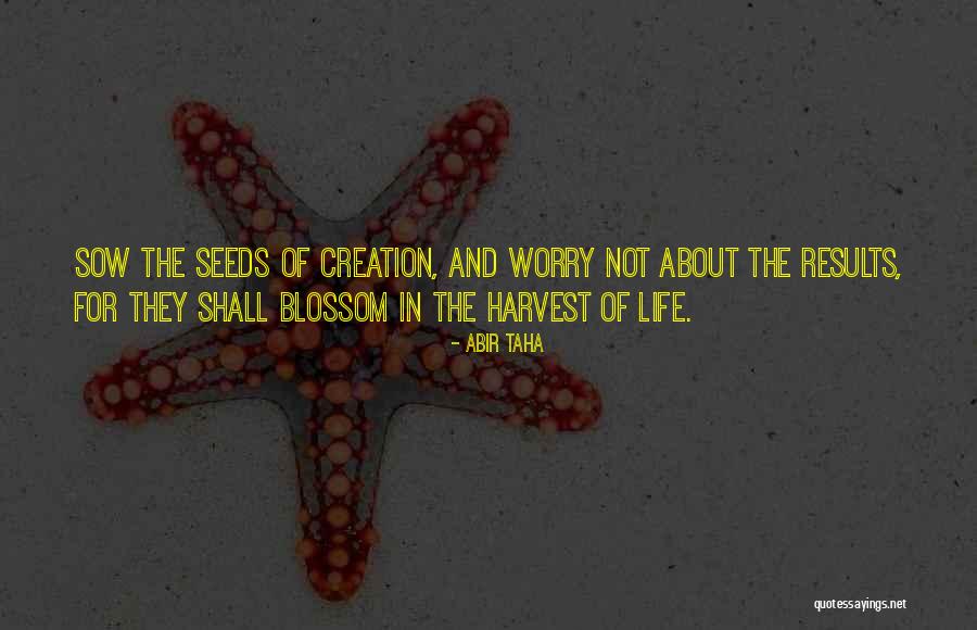 Sow Harvest Quotes By Abir Taha Sow Harvest Quotes By Abir Taha