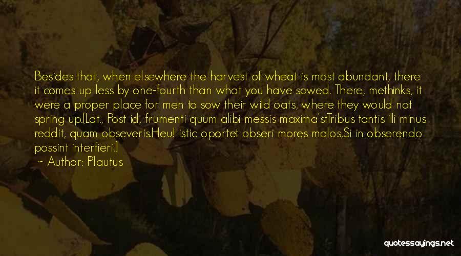 Sow Wild Oats Quotes By Plautus