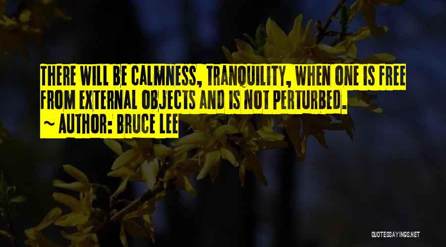 Sowerberry Undertaker Quotes By Bruce Lee