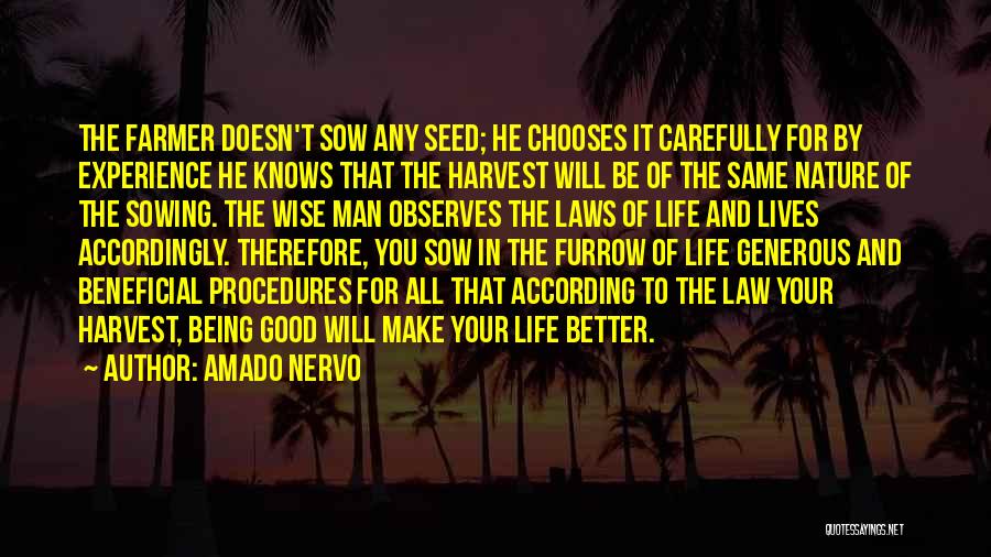 Sowing A Seed Quotes By Amado Nervo