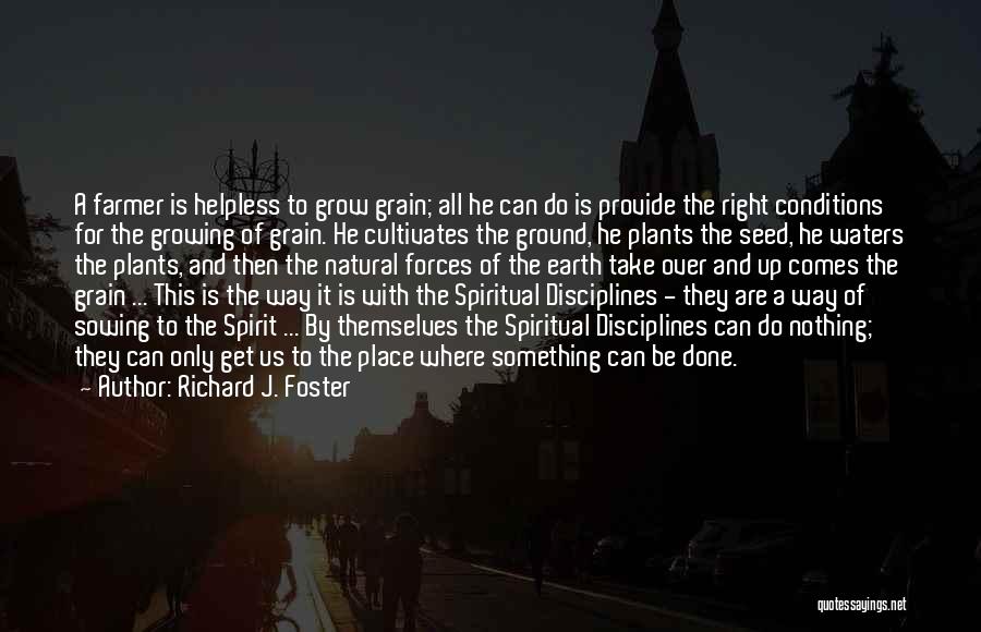 Sowing A Seed Quotes By Richard J. Foster