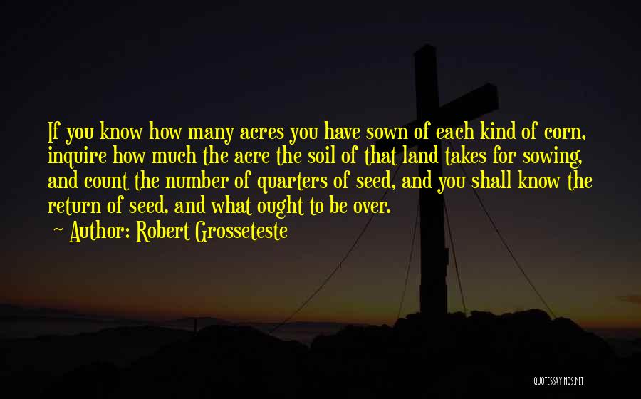 Sowing A Seed Quotes By Robert Grosseteste