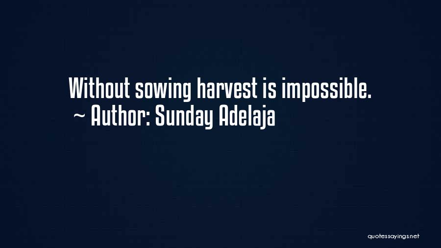 Sowing A Seed Quotes By Sunday Adelaja
