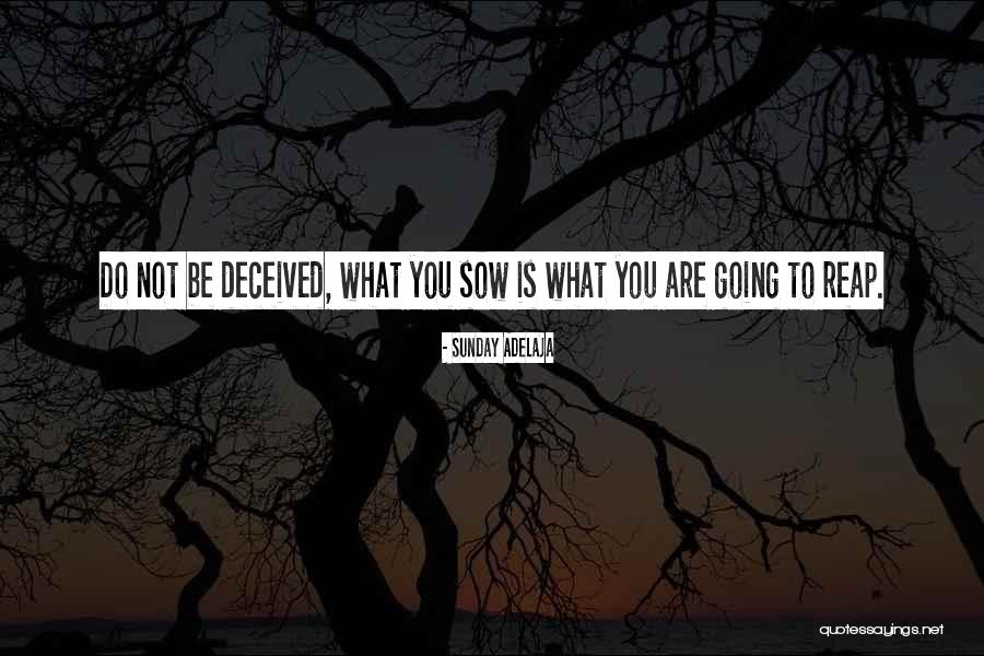 Sowing Reaping Quotes By Sunday Adelaja Sowing Reaping Quotes By Sunday Adelaja