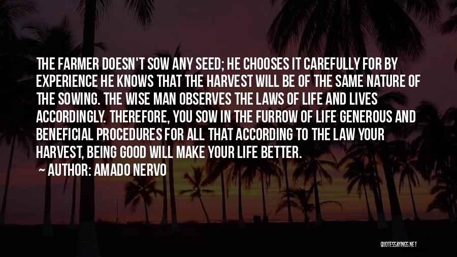 Sowing Seed Quotes By Amado Nervo