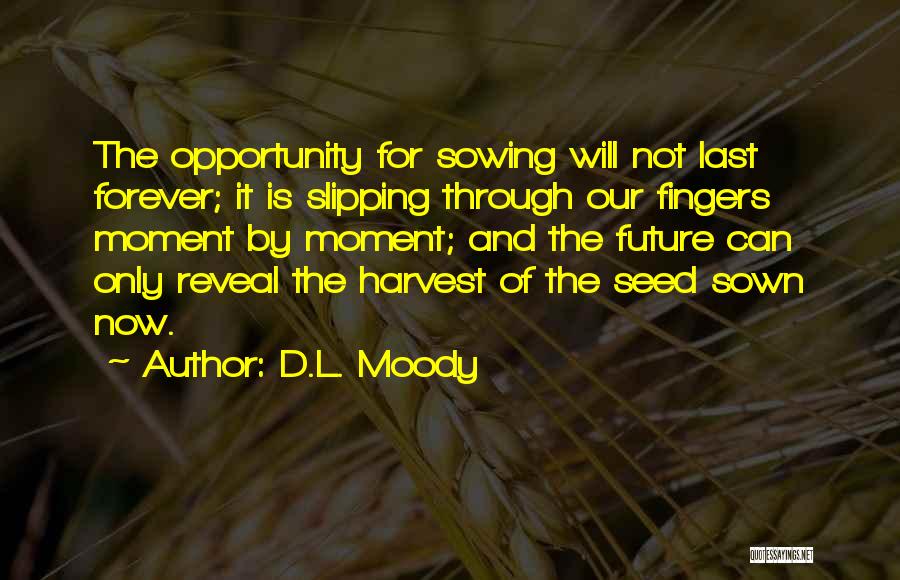 Sowing Seed Quotes By D.L. Moody