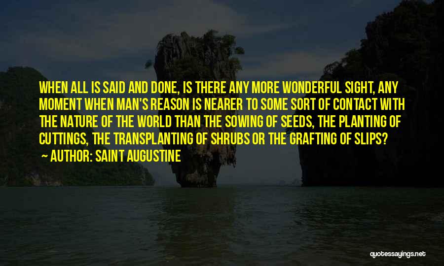 Sowing Seeds Quotes By Saint Augustine