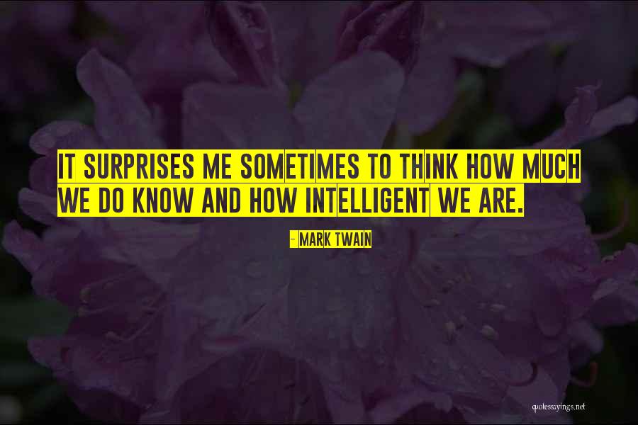 Sowndhaus Quotes By Mark Twain