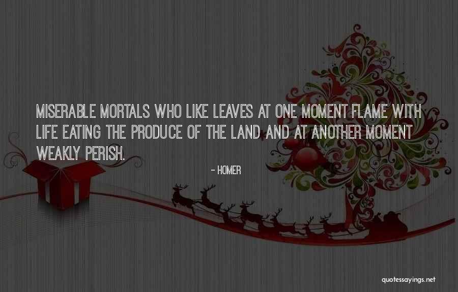 Sowohl In English Quotes By Homer Sowohl In English Quotes By Homer