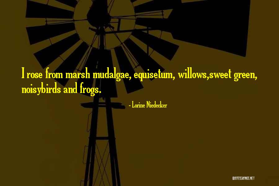 Soziale Frage Quotes By Lorine Niedecker Soziale Frage Quotes By Lorine Niedecker