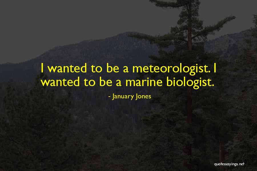 Sozzled Crossword Quotes By January Jones Sozzled Crossword Quotes By January Jones