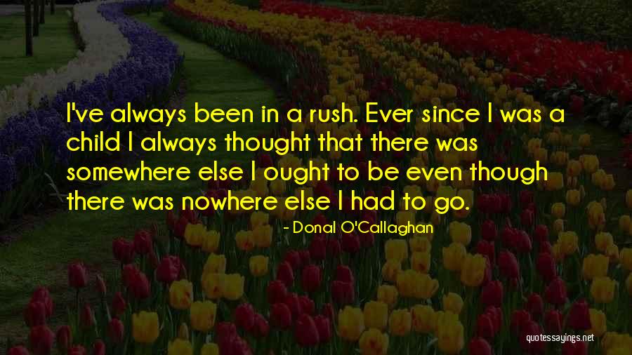 Sozzled Legless Quotes By Donal O'Callaghan Sozzled Legless Quotes By Donal O'Callaghan