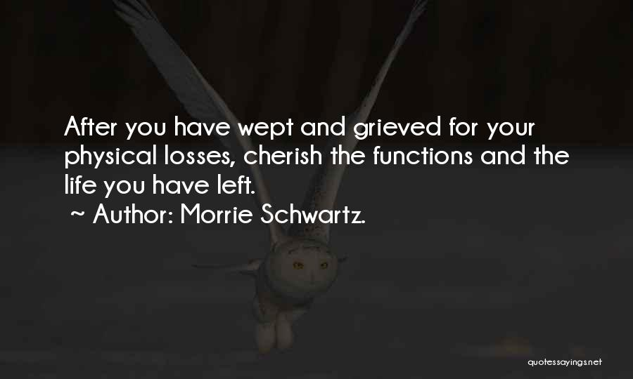 Spaatz Trophy Quotes By Morrie Schwartz.