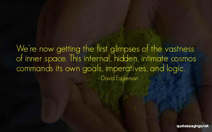 Space And Cosmos Quotes By David Eagleman Space And Cosmos Quotes By David Eagleman