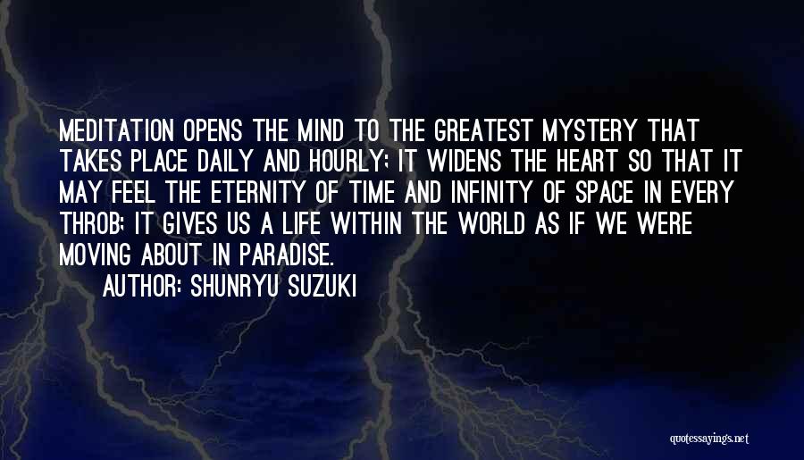 Space And Infinity Quotes By Shunryu Suzuki