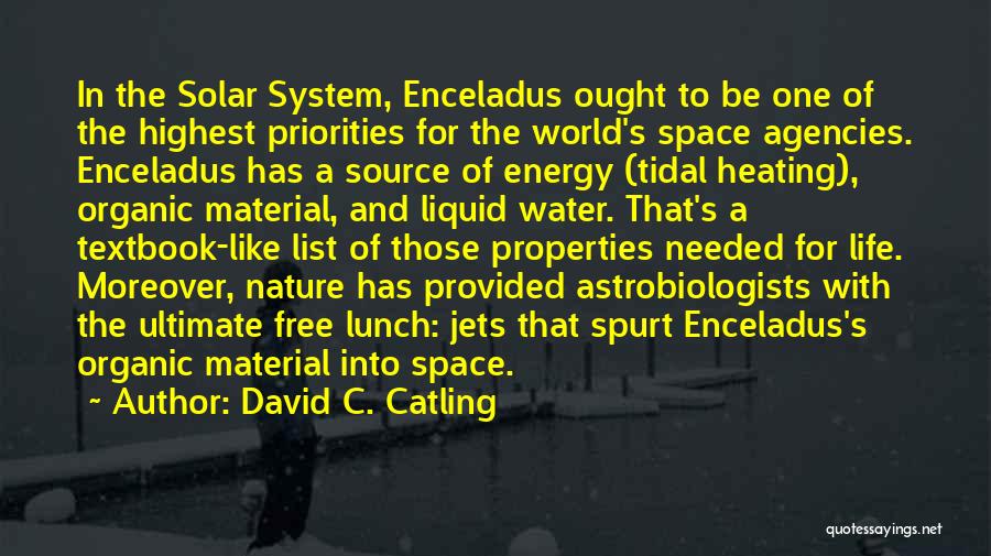 Space And Planets Quotes By David C. Catling