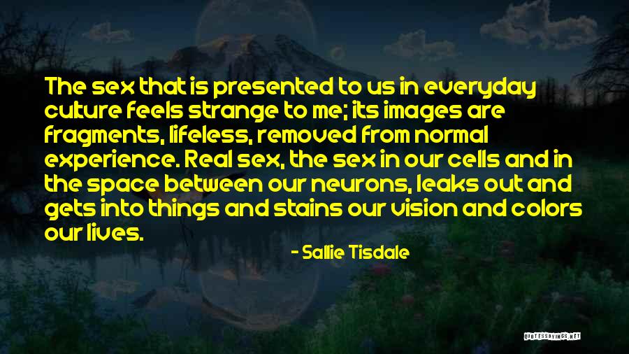 Space Between Us Quotes By Sallie Tisdale