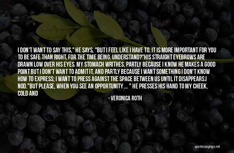 Space Between Us Quotes By Veronica Roth